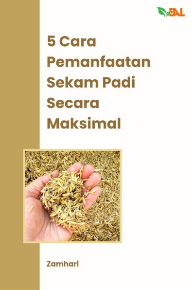 5 Cara Pemanfaatan Sekam Padi Secara Maksimal
